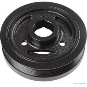 Compre Polia, cambota da HERTH+BUSS JAKOPARTS J1093015 a um preço baixo por 137,64 €