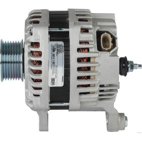 Acquista Rullo tenditore, cinghia poly-v da HERTH+BUSS JAKOPARTS online per Patrol GR IV SUV (Y60, GR) a prezzi moderati