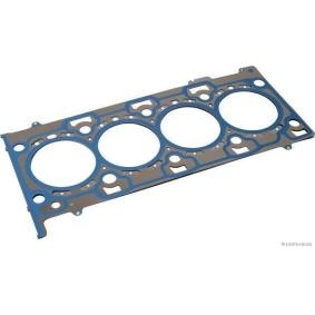 Acquista Guarnizione testata da HERTH+BUSS JAKOPARTS J1250920 a buon mercato per soli 57,37 €