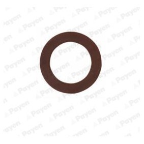 Comprar Anillo de junta, tapón roscado de vaciado de aceite de PAYEN KG5249 a bajo precio de 1,34 €
