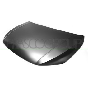 Comprar Capó de PRASCO VG0253100 a bajo precio de 468,34 €