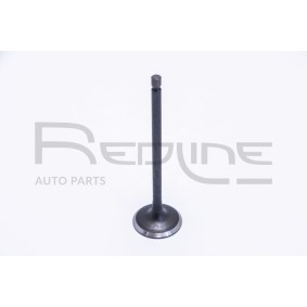 Compre Válvula de admissão de RED-LINE online para STEED 5 Pick-up a preços moderados