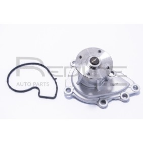 Comprar Bomba de agua de RED-LINE 28KI025 a bajo precio de 54,89 €
