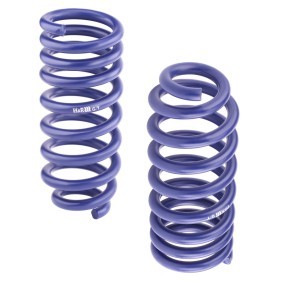 Compre Kit de suspensão, molas de H&R online para Caddy III Van (2KA, 2KH, 2CA, 2CH) a preços moderados
