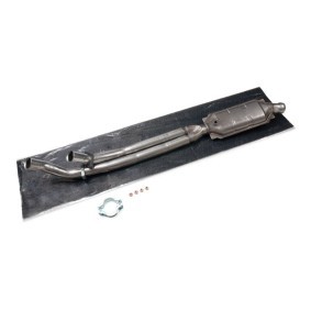 Katalysator 429C0552 von RIDEX günstig für 407,84 € online kaufen