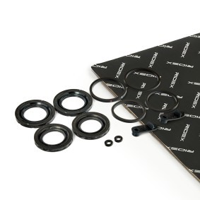 Bremssattel-Reparatursatz 405R0217 von RIDEX günstig für 11,12 € online kaufen
