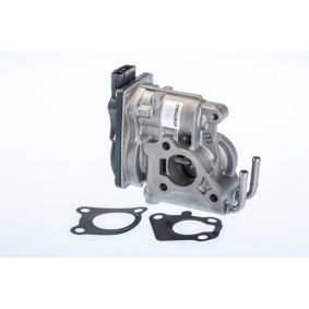 AGR-Ventil 710969R von WAHLER günstig für 191,86 € online kaufen