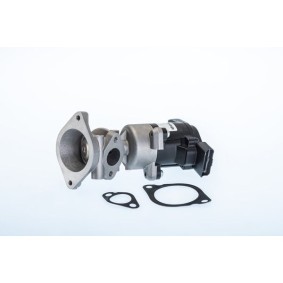 AGR-Ventil 710984R von WAHLER günstig für 228,28 € online kaufen