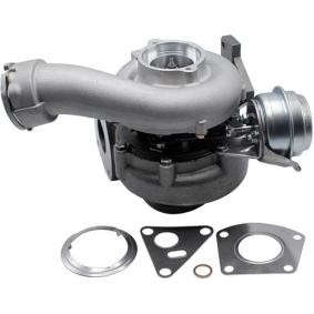 Achetez des Turbocompresseur MAGNETI MARELLI 807101005600 à prix pour 513,09 €