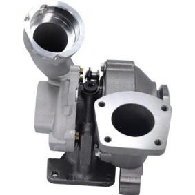 Achetez des Turbocompresseur MAGNETI MARELLI 807101006700 à prix pour 509,42 €
