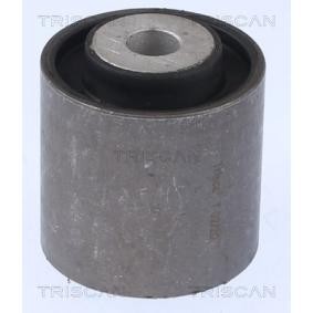 Compre Suspensão, braço oscilante da TRISCAN 8500 238019 a um preço baixo por 12,65 €