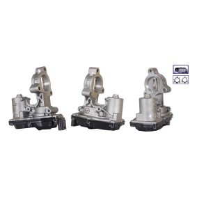 AGR-Ventil 73-0409 von ELSTOCK günstig für 136,10 € online kaufen