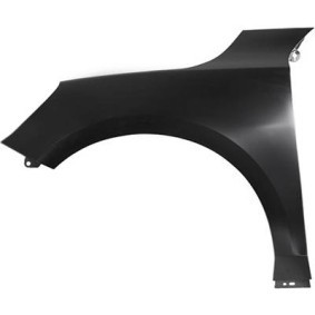 Compre Guardabarros de DIEDERICHS online para Focus Mk4 Turnier (HP) a precios moderados