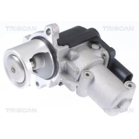 Compre Válvula EGR da KAWE 8813 29310 a um preço baixo por 175,39 €