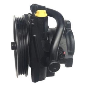 Achetez des Pompe de direction assistée LIZARTE 04.75.0513-1 à prix pour 276,58 €