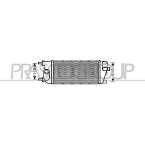 Kjøp Intercooler av PRASCO FT124N002 til den lave prisen 1255,68 NOK