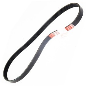 Keilrippenriemen 6PK1025-PCS-MS von MASTER-SPORT günstig für 12,07 € online kaufen