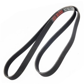 Keilrippenriemen 6PK1595-PCS-MS von MASTER-SPORT günstig für 15,98 € online kaufen