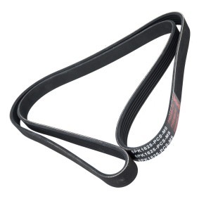 Keilrippenriemen 6PK1625-PCS-MS von MASTER-SPORT günstig für 11,49 € online kaufen