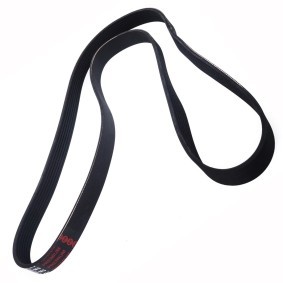 Keilrippenriemen 7PK1575-PCS-MS von MASTER-SPORT günstig für 20,88 € online kaufen