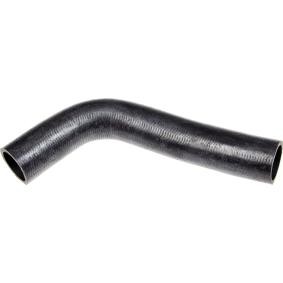 Compre Manguito de radiador de RAPRO online para HILUX IV Pick-up (_N5_, _N6_) a precios moderados