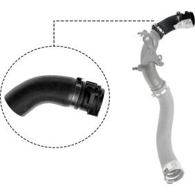 Compre Tubo flexível do ar de sobrealimentação da RAPRO R12625 a um preço baixo por 49,59 €