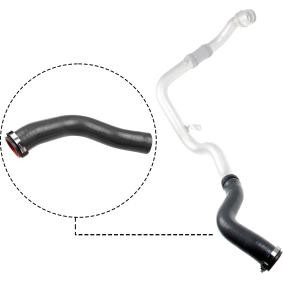 Compre Tubo flexível do ar de sobrealimentação da RAPRO R12735 a um preço baixo por 74,73 €