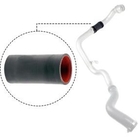 Compre Tubo flexível do ar de sobrealimentação da RAPRO R12736 a um preço baixo por 11,00 €