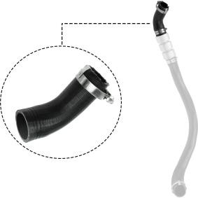 Comprar Tubo flexible de aire de sobrealimentación de RAPRO R16217 a bajo precio de 19,21 €