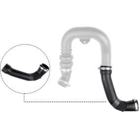 Compre Tubo flexível do ar de sobrealimentação da RAPRO R16432 a um preço baixo por 62,04 €