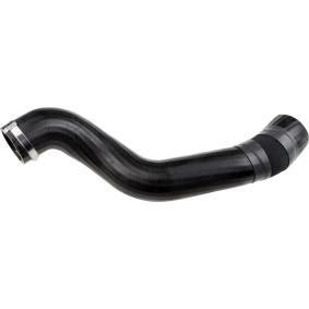 Compre Tubo flexível do ar de sobrealimentação da RAPRO R16434 a um preço baixo por 32,25 €