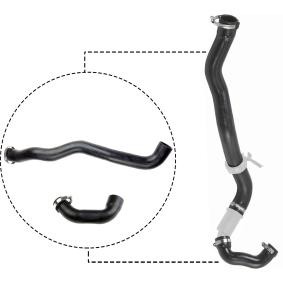 Compre Tubo flexível do ar de sobrealimentação da RAPRO R27131/K a um preço baixo por 72,55 €