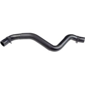Kühlerschlauch R31153 von RAPRO günstig für 22,29 € online kaufen