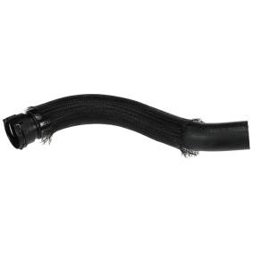 Kühlerschlauch R31155 von RAPRO günstig für 20,57 € online kaufen