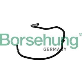 Compre Tubo de combustível da Borsehung B11969 a um preço baixo por 38,01 €