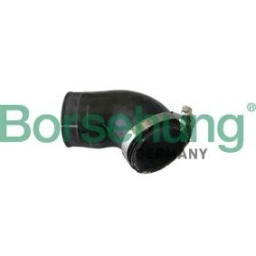 Compre Tubo flexível do ar de sobrealimentação da Borsehung B11973 a um preço baixo por 14,62 €
