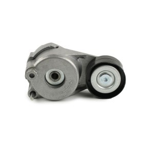 Spannrolle, Keilrippenriemen FT44653 von FAST günstig für 72,62 € online kaufen