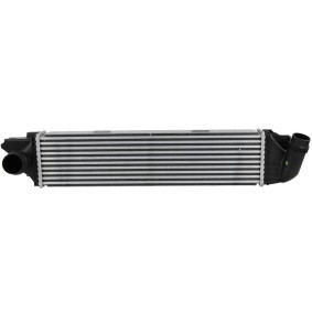 Acquista Intercooler da FAST online per NV300 Furgonato (X82) a prezzi moderati