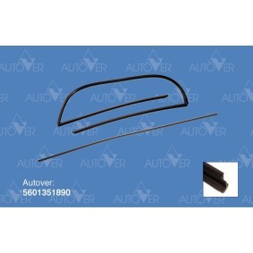 Comprar Listón embellecedor / protector, parabrisas de SAINT-GOBAIN 5601351890 a bajo precio de 29,97 €