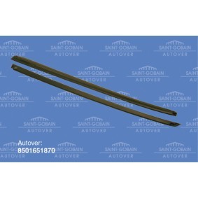 Zier- / Schutzleiste, Frontscheibe 8501651870 von SAINT-GOBAIN günstig für 110,66 € online kaufen