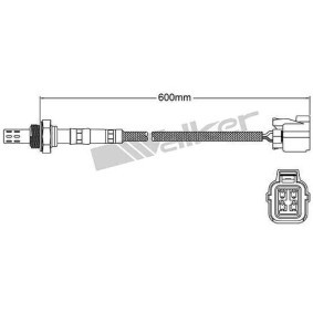 Lambdasonde ULS-774 von VEGAZ günstig für 121,66 € online kaufen