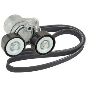Achetez des Kit de courroie d'accessoire de chez RIDEX en ligne pour X1 (E84) à prix modérés