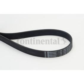 Compre Correia do alternador de CONTITECH online para CLS (C257) a preços moderados