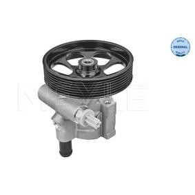 Compre Bomba de direção de MEYLE online para LAGUNA Coupé (DT0/1) a preços moderados