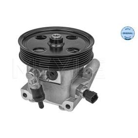 Compre Bomba de direção da MEYLE 714 631 0042 a um preço baixo por 140,63 €
