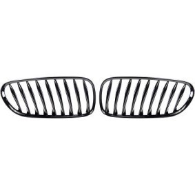 Compre Grelha de DIEDERICHS online para Z4 Coupé (E86) a preços moderados