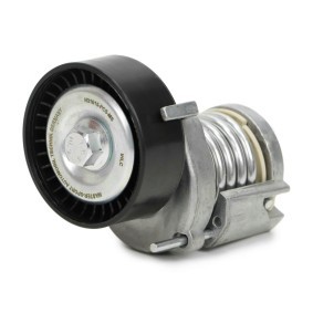 Achetez des Poulie, tendeur de courroie d'accessoire MASTER-SPORT N31015-PCS-MS à prix pour 36,52 €