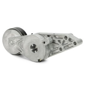 Achetez des Poulie, tendeur de courroie d'accessoire MASTER-SPORT N31033-PCS-MS à prix pour 31,18 €