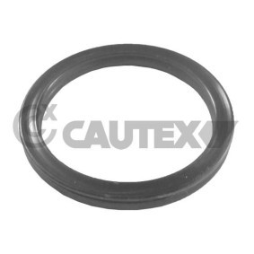 Dichtung, Kühlmittelrohrleitung 751987 von CAUTEX günstig für 1,19 € online kaufen