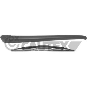 Compre Escova traseira da CAUTEX 752537 a um preço baixo por 20,09 €